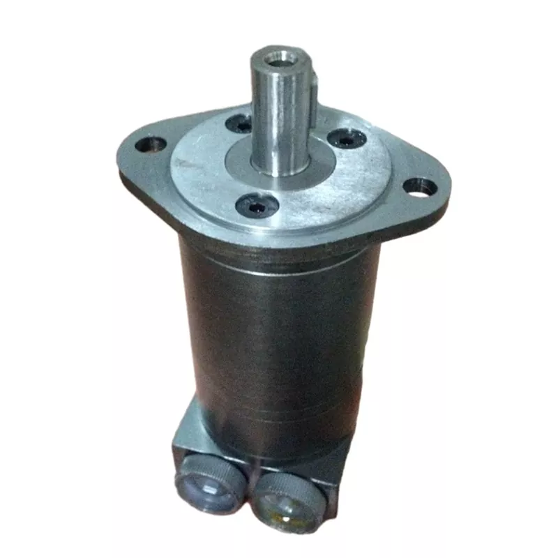 50 RPM Motors za Hydraulic za Kasi ya Chini za Torque