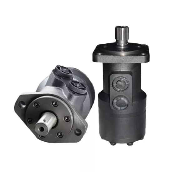 Forklift Hydraulic Motors